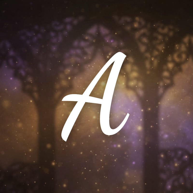 Adult Dark Fantasy Romance Books Worth Reading