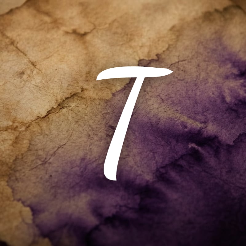 Throne Of Glass Spice Level Book By Book